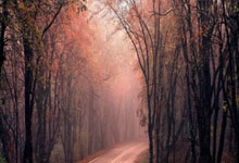 “炮轰”风波后，丁俊晖两连胜横扫，闯入利雅得锦标赛8强九派新闻.