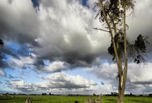 [CBA]常规赛10月22日：辽宁VS青岛 赵继伟集锦.