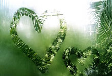 NBA全明星周末场外：光环背后的真实与反思_勒布朗·詹姆斯_....